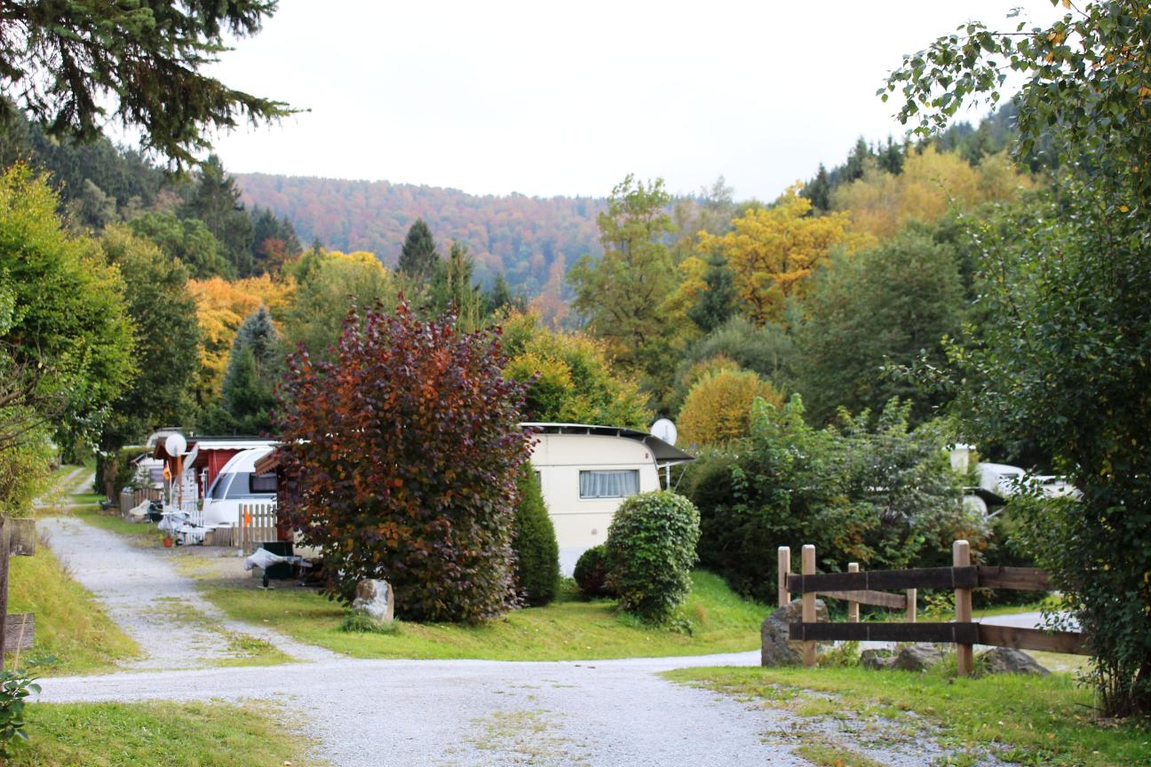 bester mckenschutz camping Camping-Hngematte mit Moskitonetz  Lunea